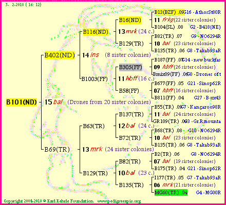 Pedigree of B101(ND) :
four generations presented