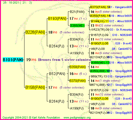 Pedigree of B101(PAN) :
four generations presented
it's temporarily unavailable, sorry!