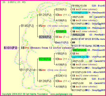 Pedigree of B101(PJ) :
four generations presented
it's temporarily unavailable, sorry!