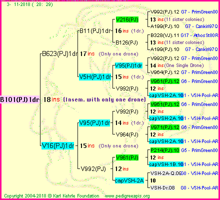 Pedigree of B101(PJ)1dr :
four generations presented<br />it's temporarily unavailable, sorry!