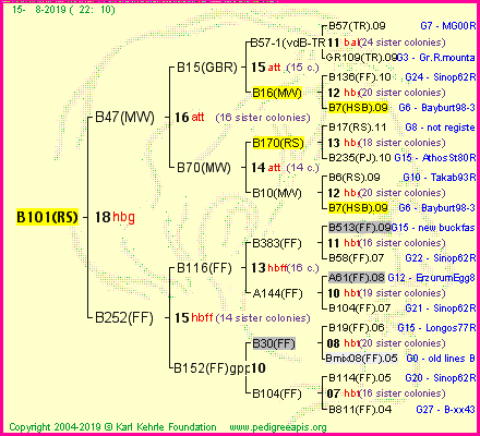 Pedigree of B101(RS) :
four generations presented
it's temporarily unavailable, sorry!