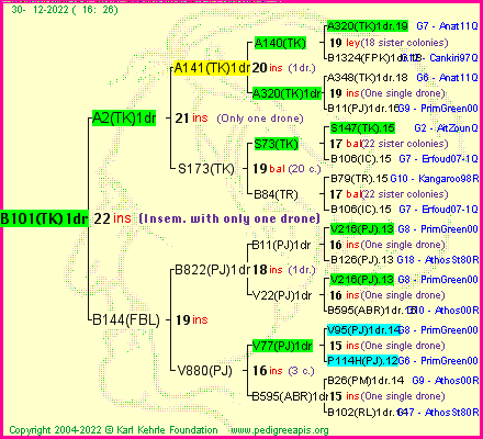 Pedigree of B101(TK)1dr :
four generations presented
it's temporarily unavailable, sorry!