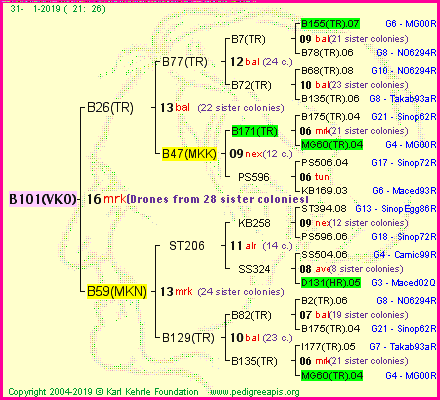 Pedigree of B101(VKO) :
four generations presented<br />it's temporarily unavailable, sorry!