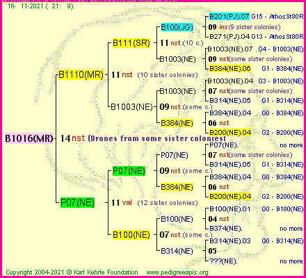 Pedigree of B1016(MR) :
four generations presented
it's temporarily unavailable, sorry!