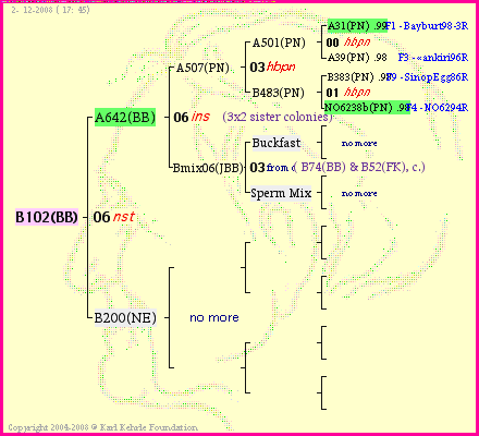 Pedigree of B102(BB) :
four generations presented