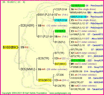 Pedigree of B102(BSC) :
four generations presented
it's temporarily unavailable, sorry!