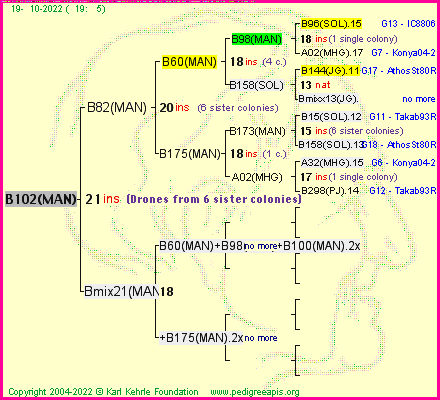 Pedigree of B102(MAN) :
four generations presented
it's temporarily unavailable, sorry!