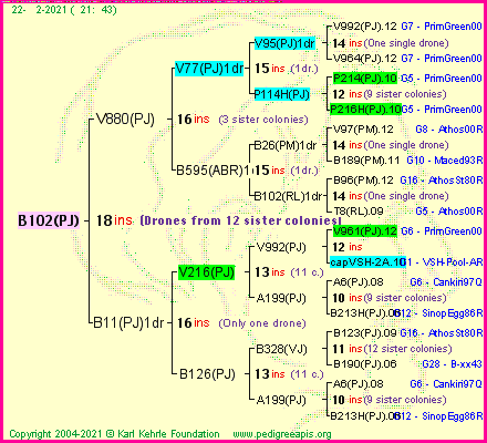 Pedigree of B102(PJ) :
four generations presented
it's temporarily unavailable, sorry!