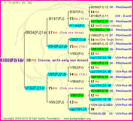 Pedigree of B102(PJ)1dr :
four generations presented<br />it's temporarily unavailable, sorry!