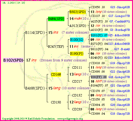 Pedigree of B102(SPD) :
four generations presented<br />it's temporarily unavailable, sorry!