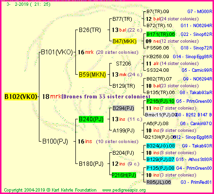 Pedigree of B102(VKO) :
four generations presented<br />it's temporarily unavailable, sorry!