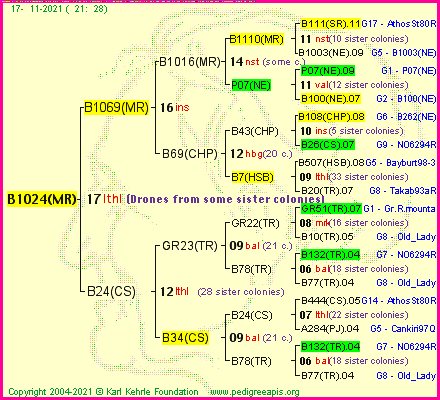 Pedigree of B1024(MR) :
four generations presented
it's temporarily unavailable, sorry!