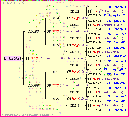 Pedigree of B103(AS) :
four generations presented