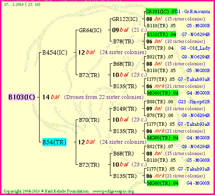 Pedigree of B103(IC) :
four generations presented