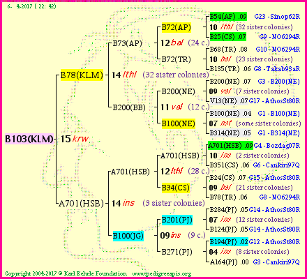 Pedigree of B103(KLM) :
four generations presented
it's temporarily unavailable, sorry!