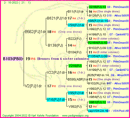 Pedigree of B103(PBO) :
four generations presented
it's temporarily unavailable, sorry!