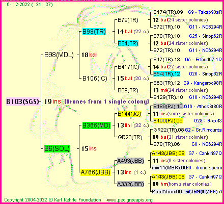 Pedigree of B103(SGS) :
four generations presented
it's temporarily unavailable, sorry!