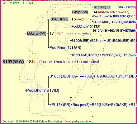 Pedigree of B103(SRW) :
four generations presented<br />it's temporarily unavailable, sorry!