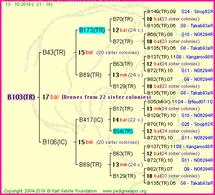 Pedigree of B103(TR) :
four generations presented<br />it's temporarily unavailable, sorry!