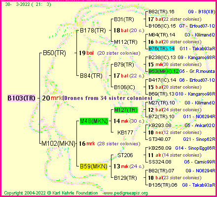 Pedigree of B103(TR) :
four generations presented
it's temporarily unavailable, sorry!