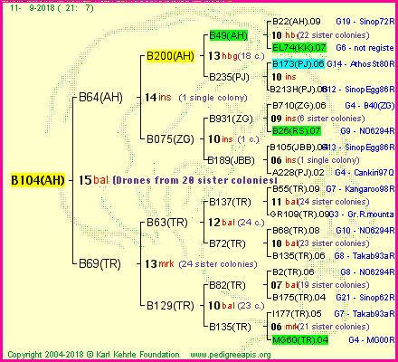 Pedigree of B104(AH) :
four generations presented<br />it's temporarily unavailable, sorry!