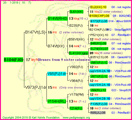 Pedigree of B104(FJO) :
four generations presented<br />it's temporarily unavailable, sorry!