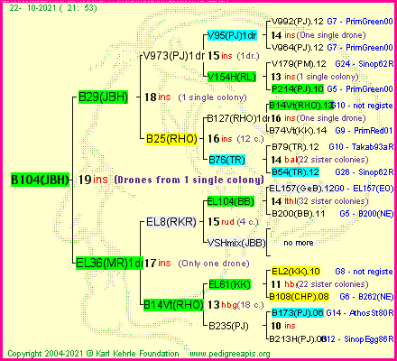 Pedigree of B104(JBH) :
four generations presented
it's temporarily unavailable, sorry!