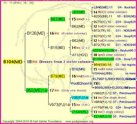 Pedigree of B104(ME) :
four generations presented
it's temporarily unavailable, sorry!