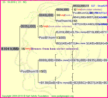 Pedigree of B1041(JBB) :
four generations presented<br />it's temporarily unavailable, sorry!