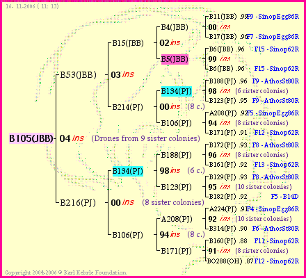 Pedigree of B105(JBB) :
four generations presented