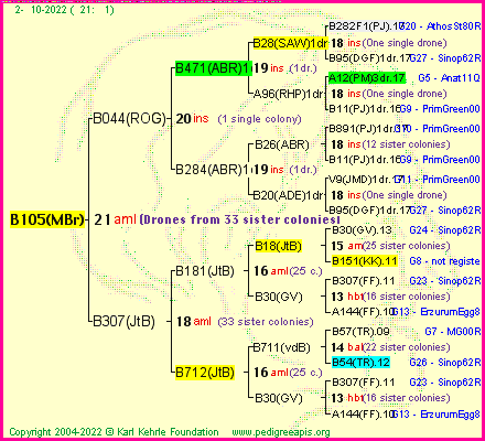 Pedigree of B105(MBr) :
four generations presented
it's temporarily unavailable, sorry!