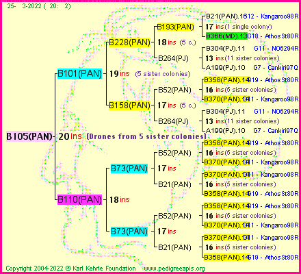 Pedigree of B105(PAN) :
four generations presented
it's temporarily unavailable, sorry!