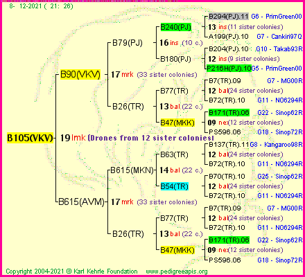 Pedigree of B105(VKV) :
four generations presented
it's temporarily unavailable, sorry!