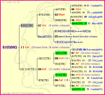 Pedigree of B105(WE) :
four generations presented