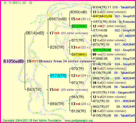 Pedigree of B105(vdB) :
four generations presented
it's temporarily unavailable, sorry!