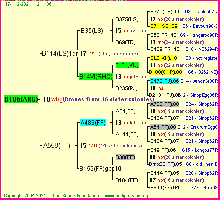 Pedigree of B106(ARG) :
four generations presented
it's temporarily unavailable, sorry!