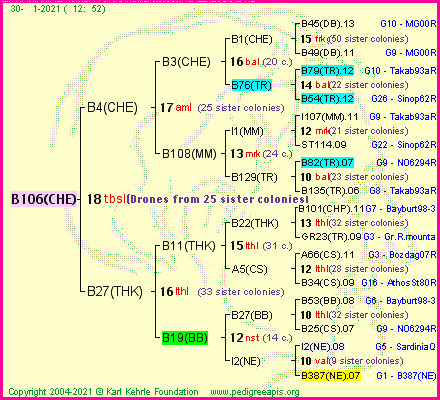 Pedigree of B106(CHE) :
four generations presented
it's temporarily unavailable, sorry!