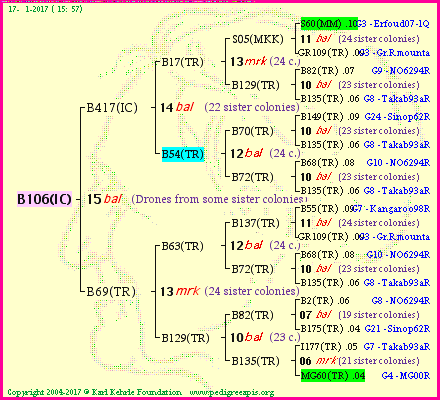 Pedigree of B106(IC) :
four generations presented
it's temporarily unavailable, sorry!