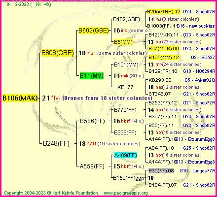 Pedigree of B106(MAK) :
four generations presented
it's temporarily unavailable, sorry!