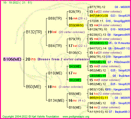 Pedigree of B106(ME) :
four generations presented
it's temporarily unavailable, sorry!