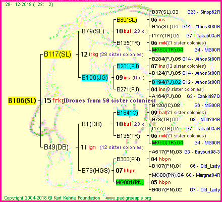 Pedigree of B106(SL) :
four generations presented<br />it's temporarily unavailable, sorry!