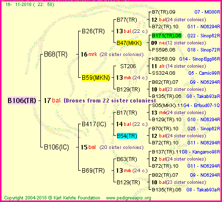 Pedigree of B106(TR) :
four generations presented<br />it's temporarily unavailable, sorry!