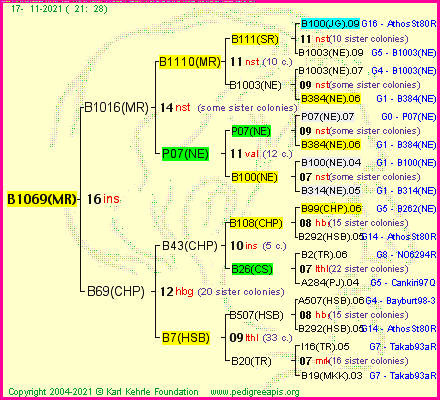 Pedigree of B1069(MR) :
four generations presented
it's temporarily unavailable, sorry!