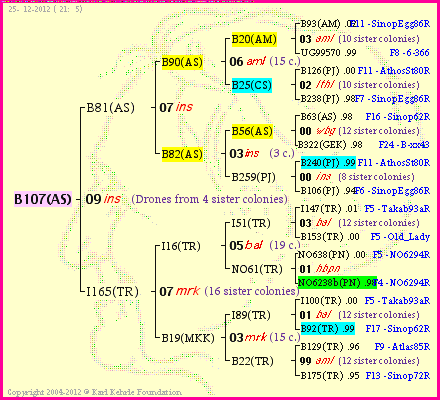 Pedigree of B107(AS) :
four generations presented