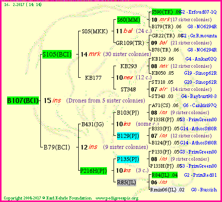 Pedigree of B107(BCI) :
four generations presented