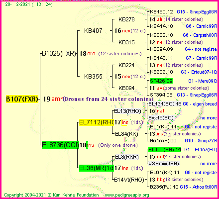 Pedigree of B107(FXR) :
four generations presented
it's temporarily unavailable, sorry!