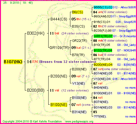 Pedigree of B107(HK) :
four generations presented<br />it's temporarily unavailable, sorry!