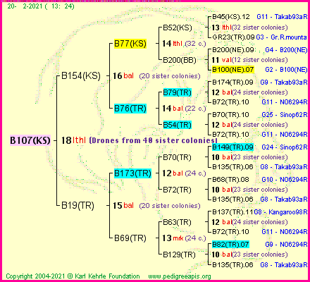 Pedigree of B107(KS) :
four generations presented
it's temporarily unavailable, sorry!