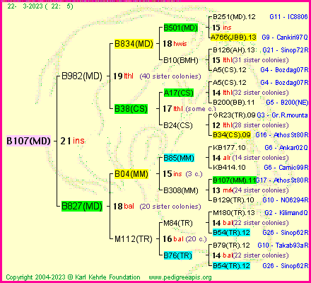 Pedigree of B107(MD) :
four generations presented
it's temporarily unavailable, sorry!