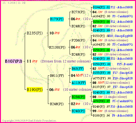 Pedigree of B107(PJ) :
four generations presented<br />it's temporarily unavailable, sorry!